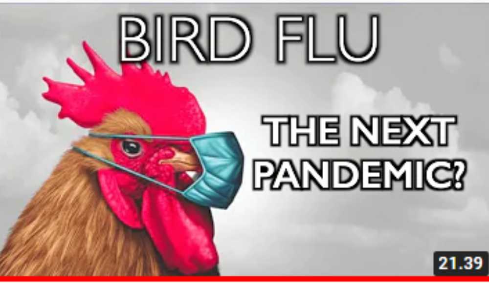 Fugleinfluenza